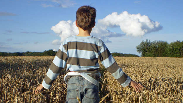 Ein Junge steht in einem Kornfeld
