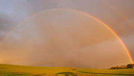 Regenbogen