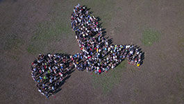 Luftbild: Taube aus Menge von Menschen