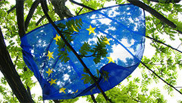 Europaflagge in einem Baum