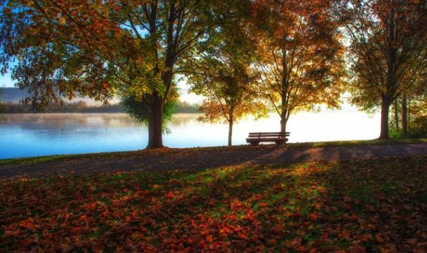 Wald am See