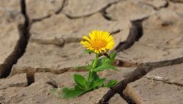 Workshop Resiliente Kirchen