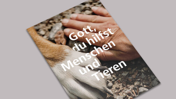 Cover Gottesdienstheft für den Ökumenischen Tag der Schöpfung 2025