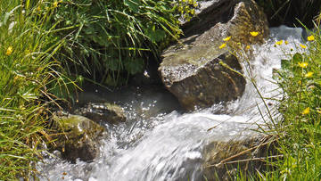 Wasserquelle, Bach, Symbolbild