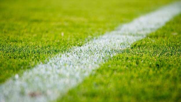 Fußballrasen: Nahaufnahme mit weißer Markierung