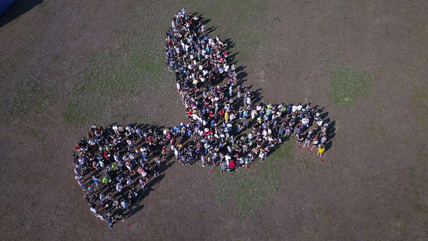 Luftbild Friedenstaube aus Menschen