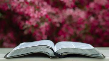 Eine aufgeschlagene Bibel, im Hintergrunde Blüten