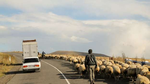 LKW, Schafherde und Hirte in Bergkarabach/Arzach