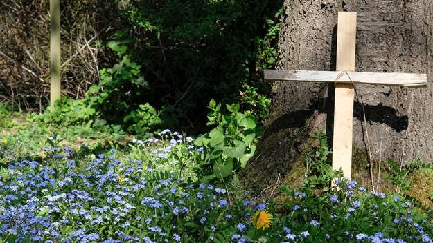 Ein schlichtes Holzkreuz zwischen blauen Blumen auf einem Waldfriedhof