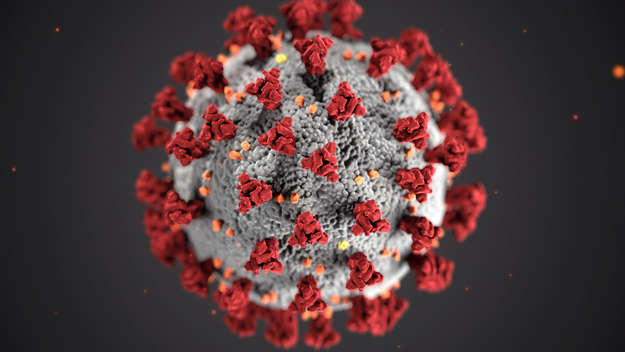Coronavirus durch ein Mikroskop gesehen