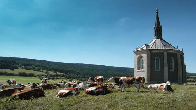 kleine Kapelle auf einer Bergwiese, Bergkulisse im Hintergrund, Kühe liegen im Gras