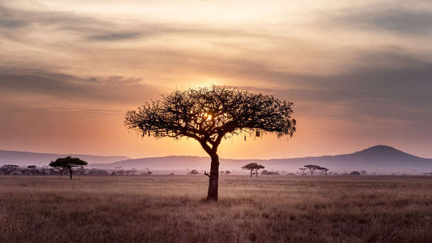 Symbolbild Afrika