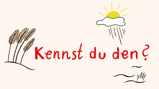 Grafik 'Kennst du den?'