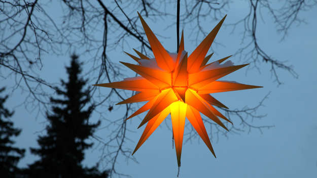 Leuchtender Herrnhuter Stern in einem Baum