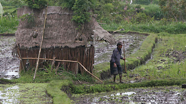 Bauer vor seiner Hütte in Indonesien