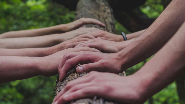 Hände auf einem Baumstamm