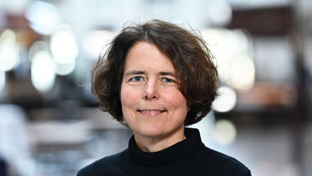 Prof. Dr. Kristin Merle