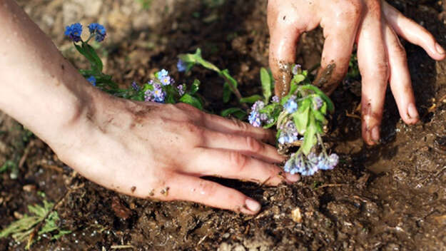 Planting 1875x1056