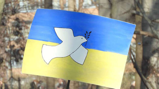 Friedenstaube auf einem Plakt mit ukrainischer Flagge