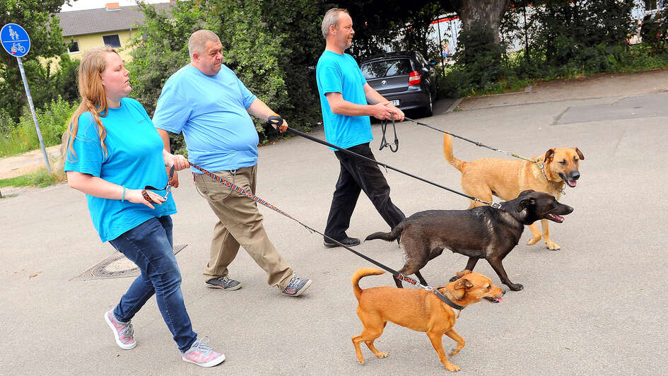 Das Mainzer Hundetraum-Team führt drei Hunde aus Das Mainzer Hundetraum-Team führt drei Hunde aus