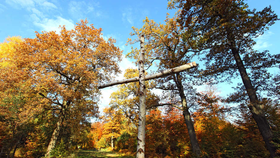 Holzkreuz im Wald
