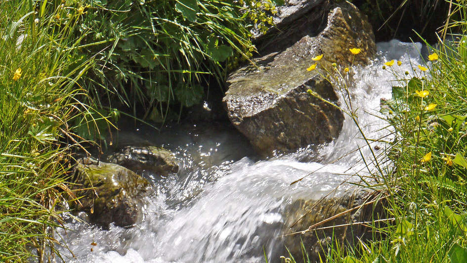 Wasserquelle, Bach, Symbolbild