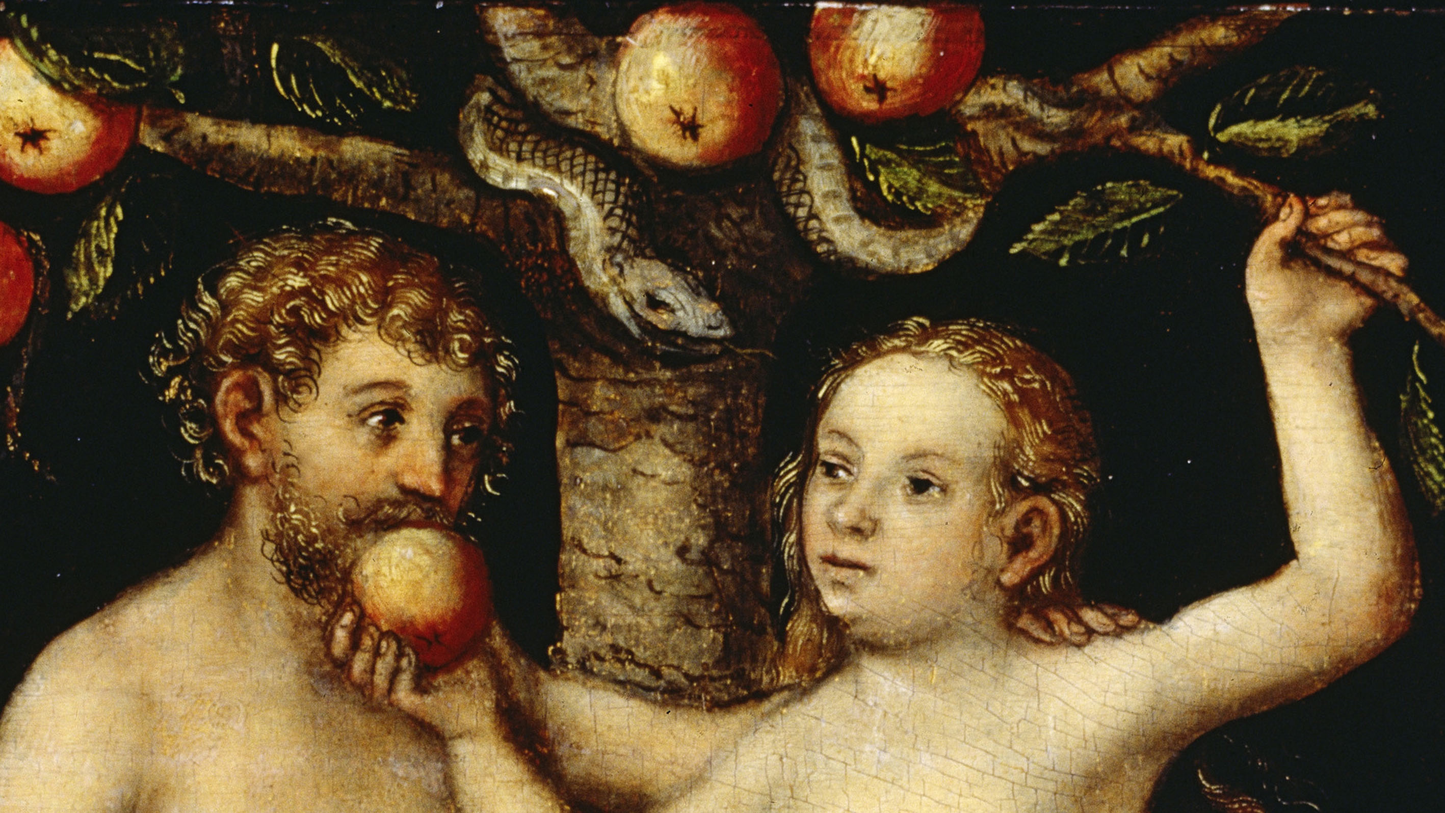Download Adam und eva apfel HD