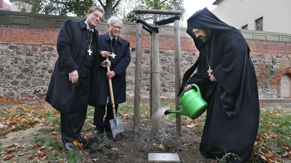 Bischof Markus, Dröge, Erzbischof Heiner Koch und Archimandrit Emmanuel Sfiatkos pflanzen einen Baum im Wittenberger Luthergarten