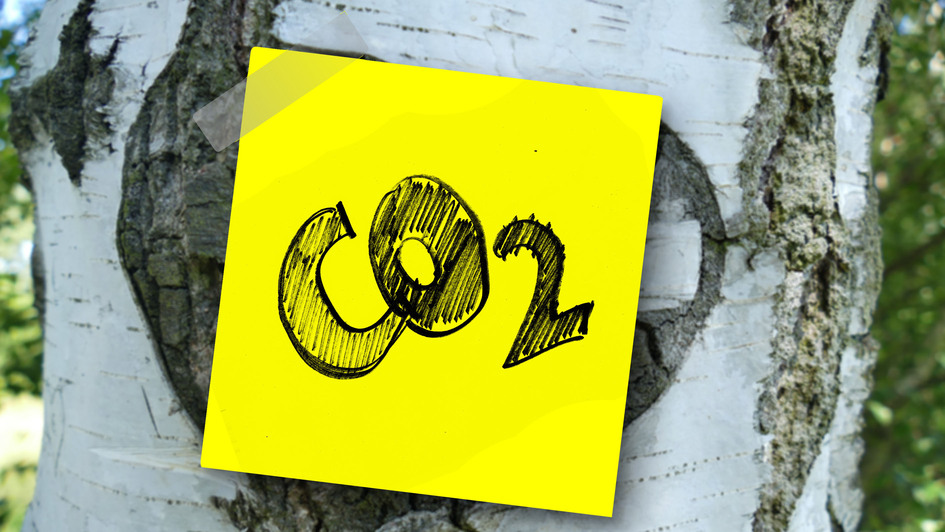 Baum, an dem ein gelber Zettel mit dem Schriftzug „CO2“ klebt Baum, an dem ein gelber Zettel mit dem Schriftzug „CO2“ klebt