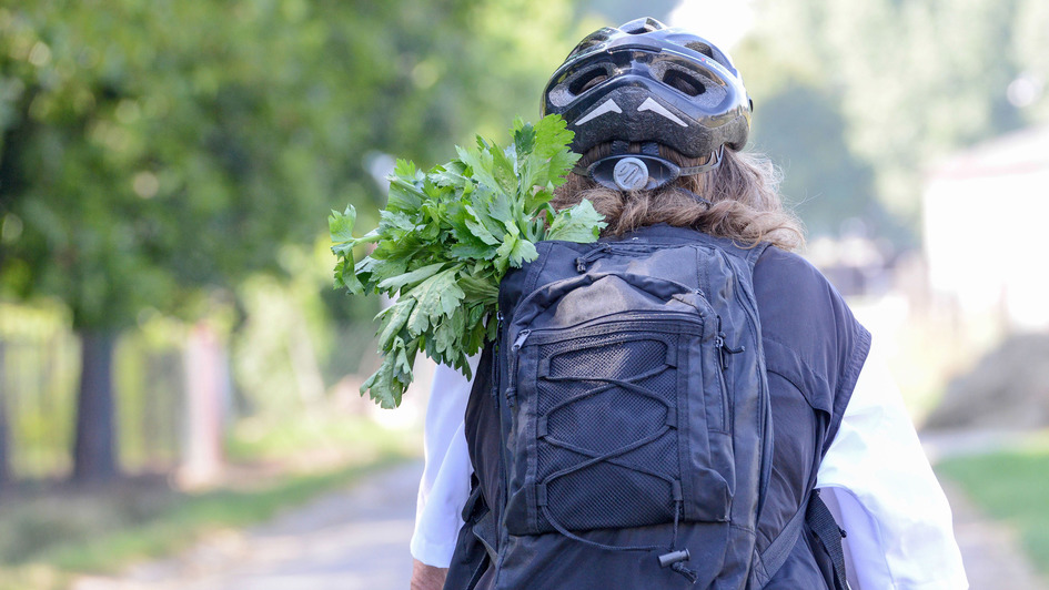 Radfahrer von hinten mit Gemüseeinkauf im Rucksack