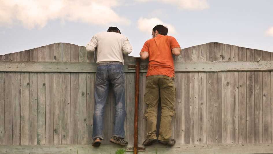 Rückansicht zweier Männer, die über einen hohen Gartenzaun blicken. Rückansicht zweier Männer, die über einen hohen Gartenzaun blicken.