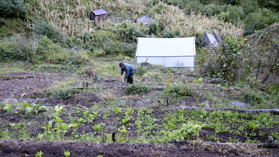 Mann bei der Gartenarbeit