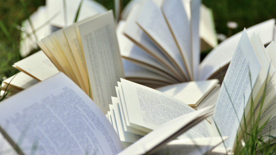 Aufgeschlagene Bücher in einer Wiese