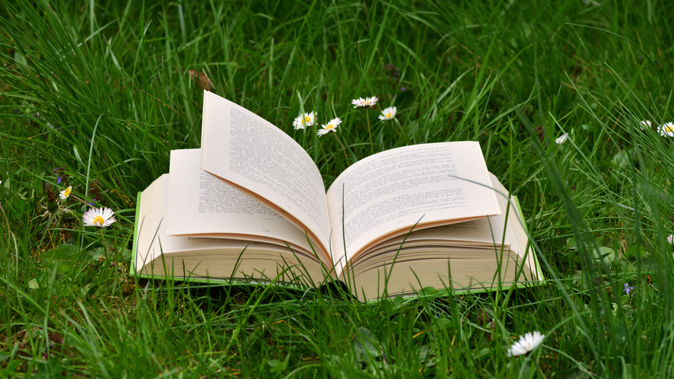 Aufgeschlagenes Buch im Gras
