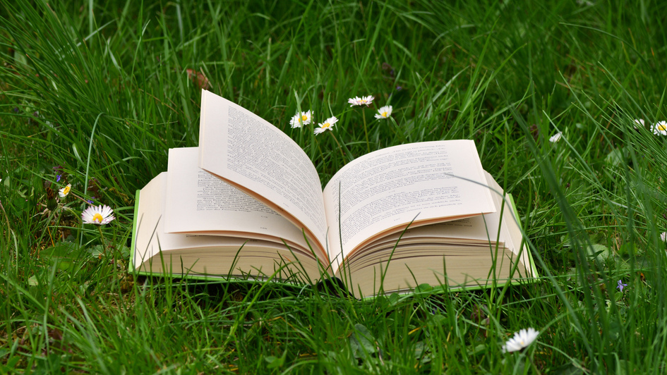 Aufgeschlagenes Buch im Gras Aufgeschlagenes Buch im Gras