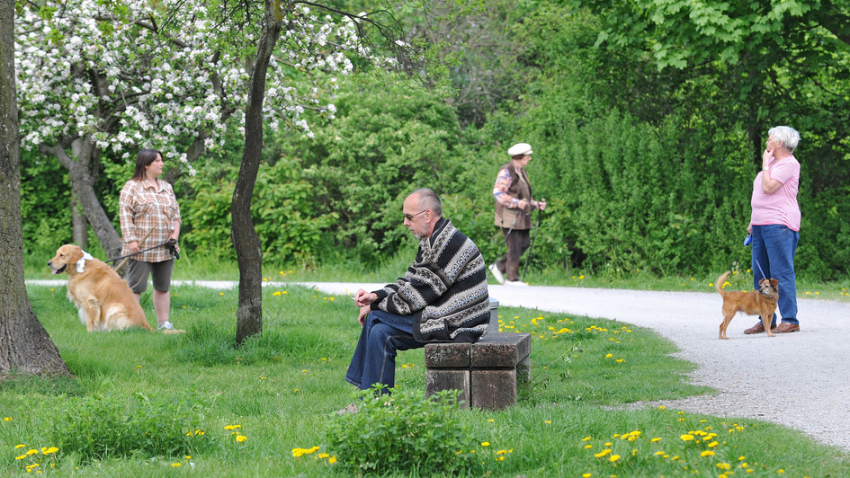 Vier einzelne Menschen in Park in Hannover