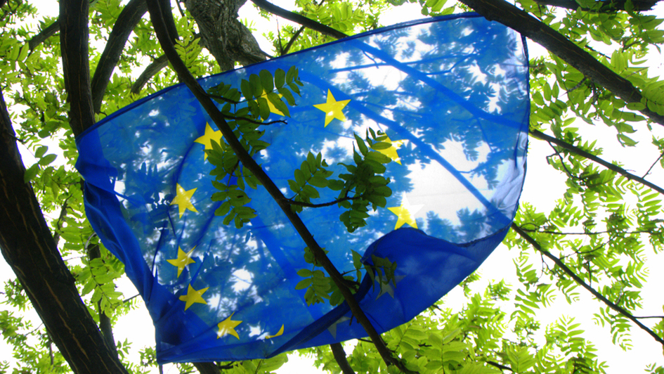Fahne der Europäischen Union (EU) weht in einem Baum