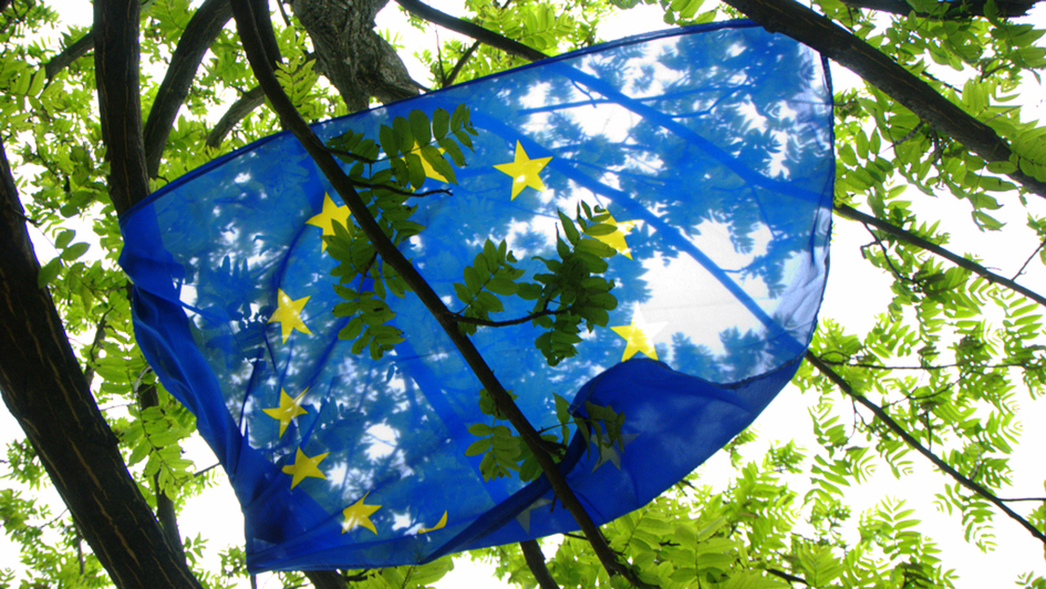 Fahne der Europäischen Union (EU) weht in einem Baum Fahne der Europäischen Union (EU) weht in einem Baum