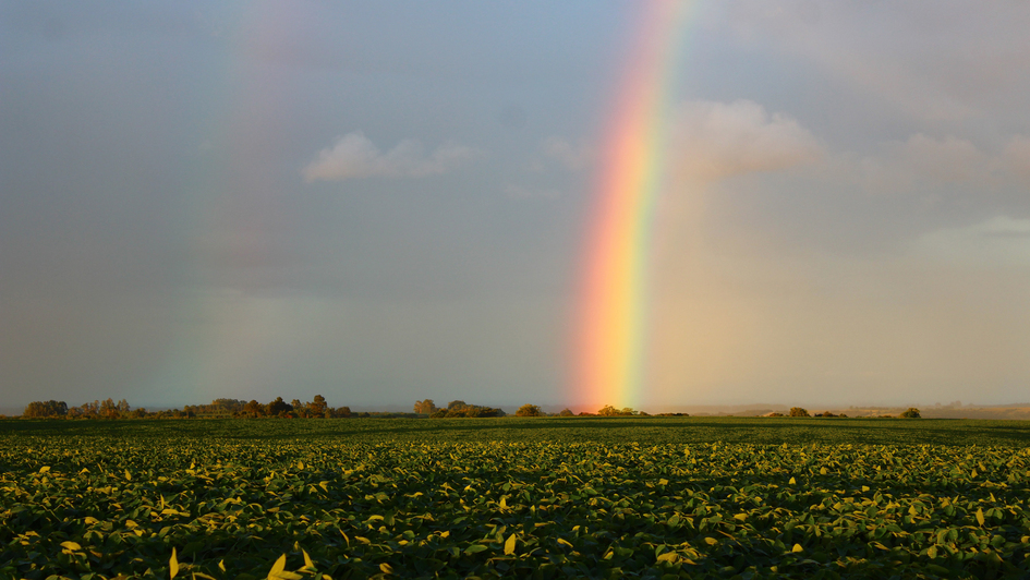 Symbolbild Regenbogen