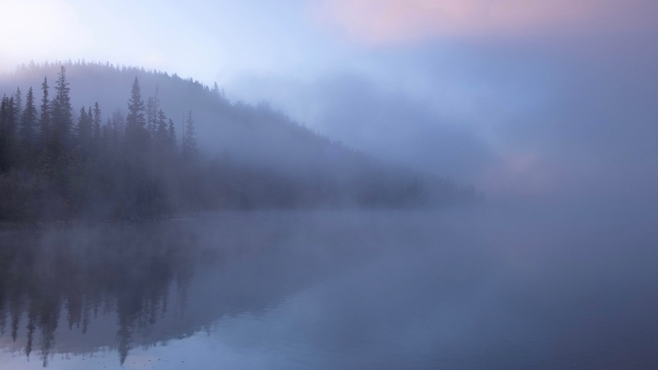 Geheimnisvolle Landschaft im Nebel