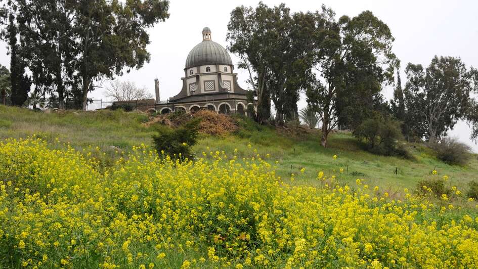 Berg der Seligpreisungen beim See Genezareth: Hier soll Jesus die Bergpredigt gehalten haben Berg der Seligpreisungen beim See Genezareth: Hier soll Jesus die Bergpredigt gehalten haben