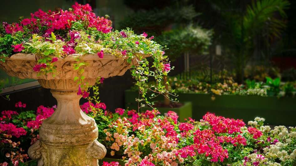 Gartenbeet mit roten Blumen Gartenbeet mit roten Blumen