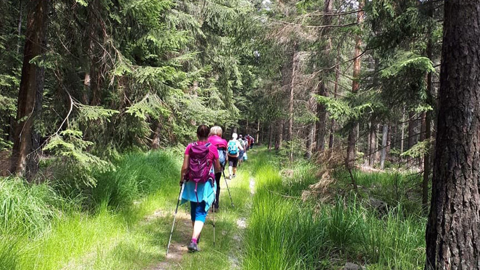 Frauen pilgern im Nationalpark Schwarzwald.