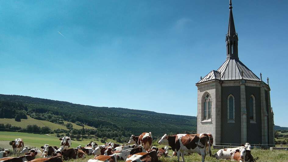 kleine Kapelle auf einer Bergwiese, Bergkulisse im Hintergrund, Kühe liegen im Gras