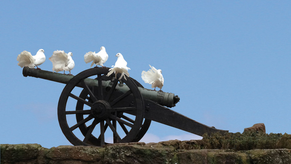 Weisse Tauben auf historischer Kanone