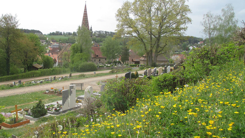 Friedhof mit angrenzender Wiese mit Wildblumen