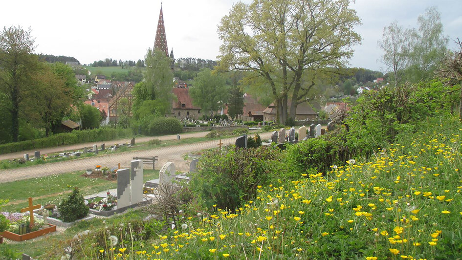 Friedhof mit angrenzender Wiese mit Wildblumen Friedhof mit angrenzender Wiese mit Wildblumen
