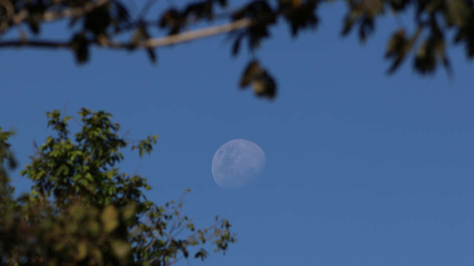 Mond Mond