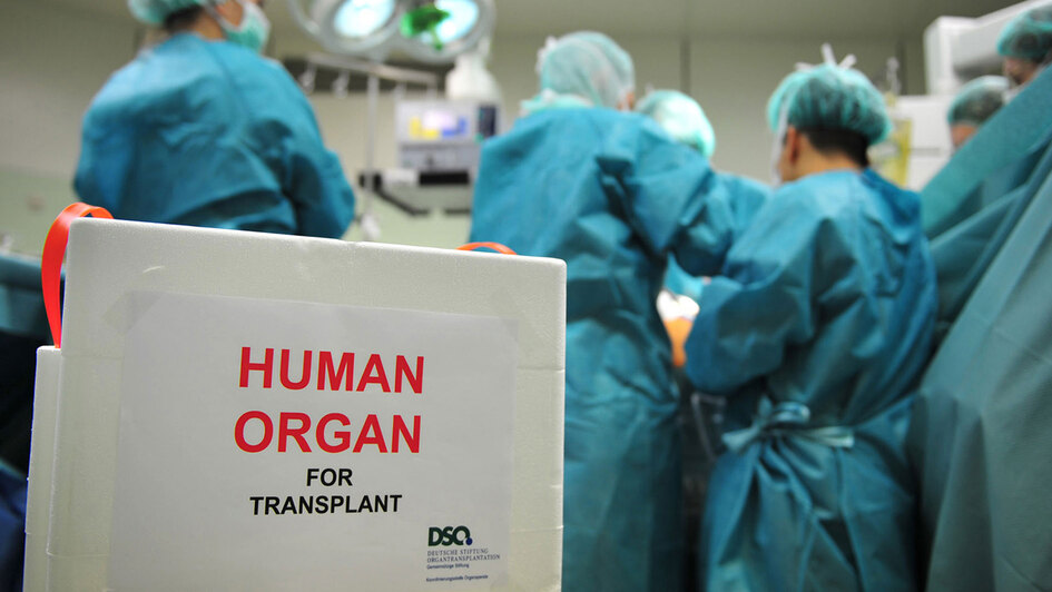 Eine Kühlbox mit einem Spenderorgan steht während einer Operation in einem OP (Foto vom 06.09.2008).