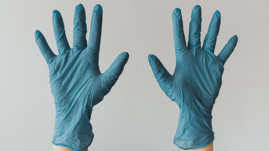 Zwei offene Hände in blauen Gummihandschuhen vor einem weißen Hintergrund. Zwei offene Hände in blauen Gummihandschuhen vor einem weißen Hintergrund.